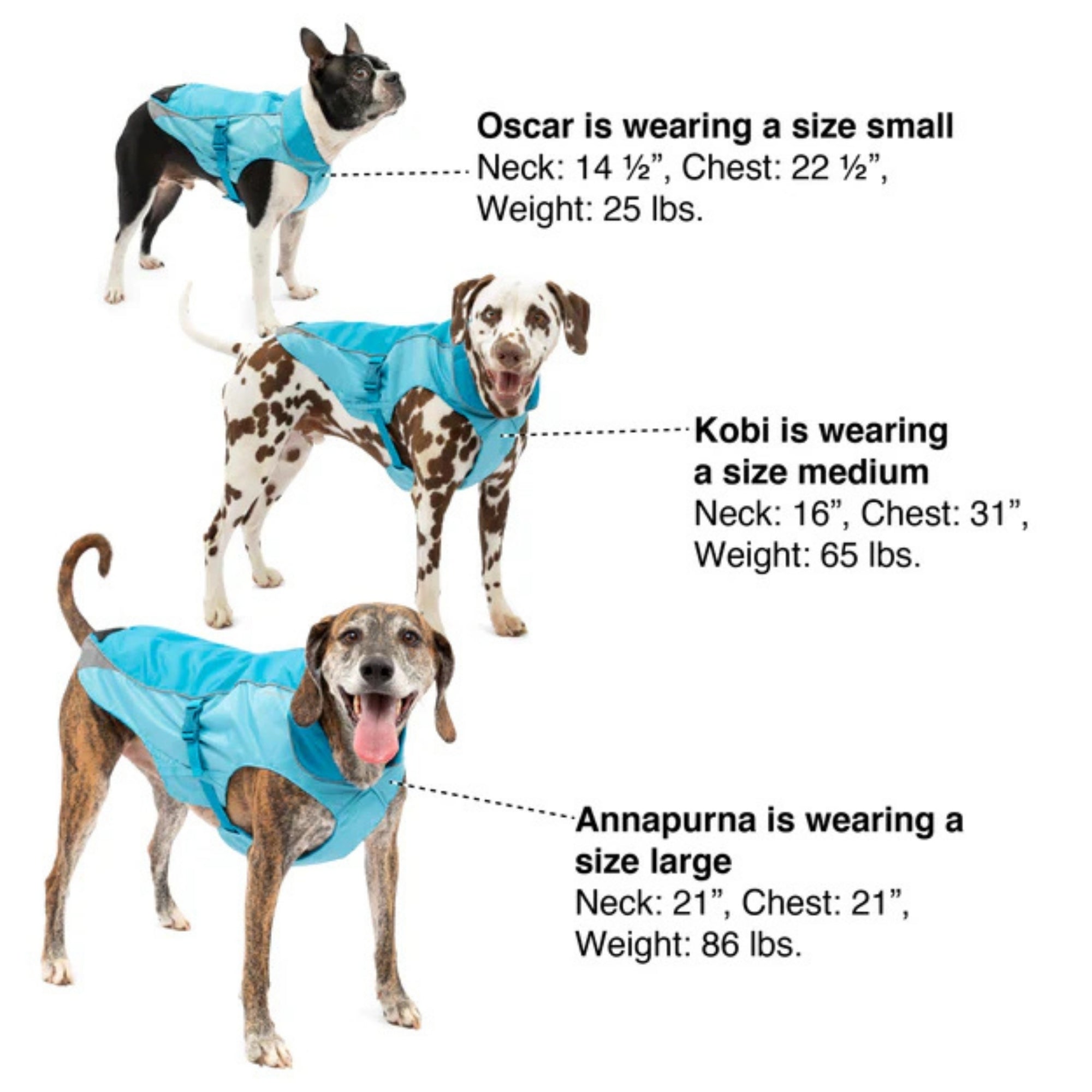 Kurgo Dog North Country Coat Blue XSmall