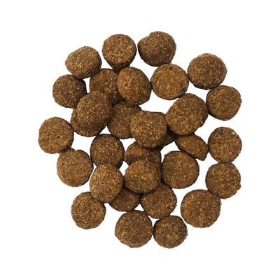 Go! Dog Digestion & Gut Health Salmon Ancient Grain 22Lb