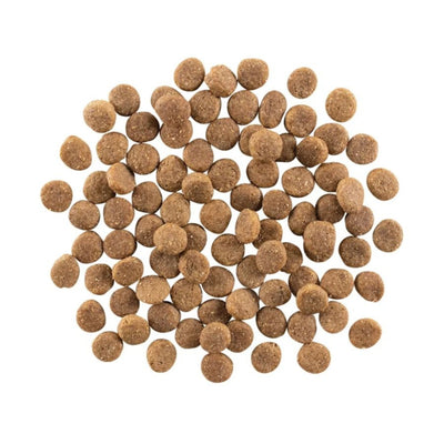 Go! Dog Weight Management & Joint Care Grain Free Chicken 3.5Lb