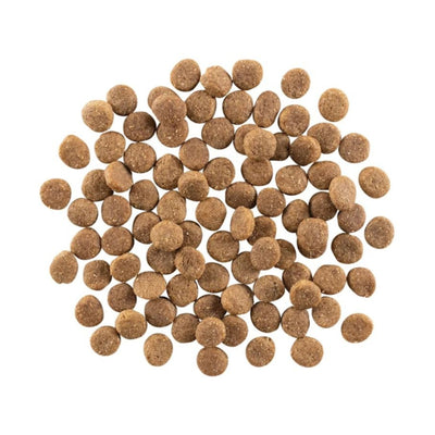 Go! Dog Weight Management & Joint Care Grain Free Chicken 22Lb