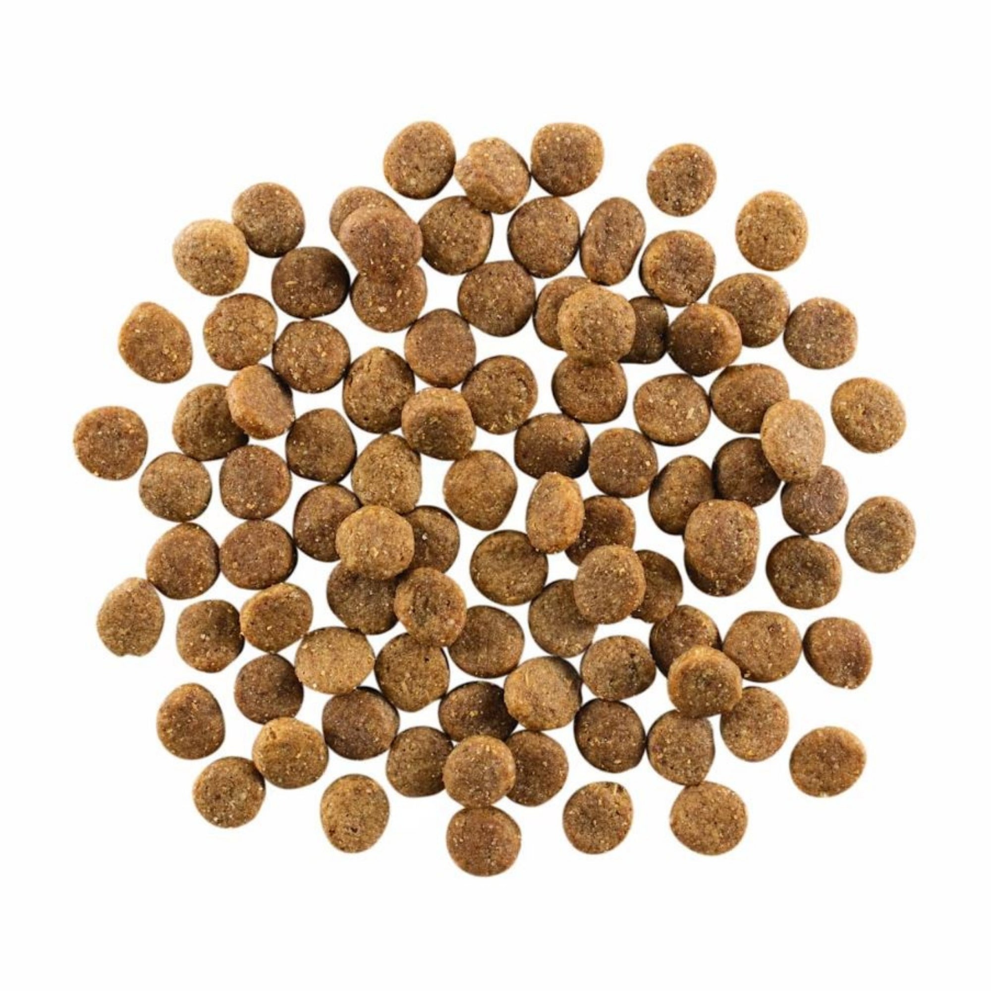 Go! Dog Skin & Coat Care Chicken With Grain 3.5Lb