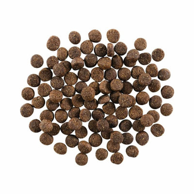 Go! Dog Skin & Coat Care Lamb With Grain 3.5Lb