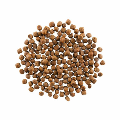 Go! Cat Skin & Coat Care Chicken With Grain 8Lb