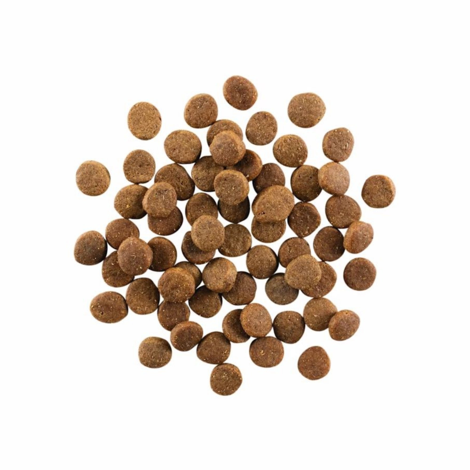 Go! Dog Carnivore Grain Free Puppy Chicken, Turkey & Duck 22Lb