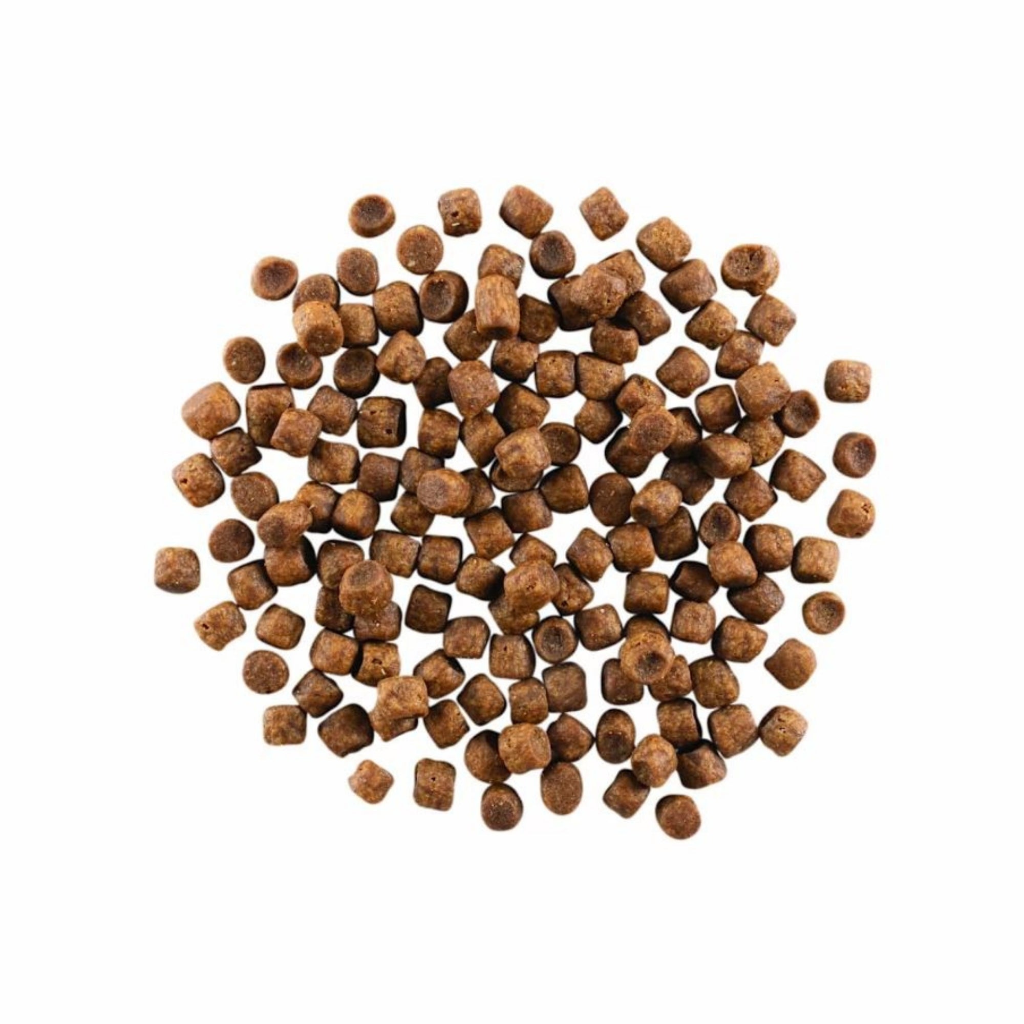 Go! Cat Carnivore Grain Free Chicken, Turkey & Duck 16Lb