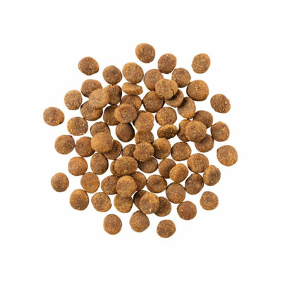 Go! Dog Sensitivities Limited Ingredient Grain Free Duck 22Lb