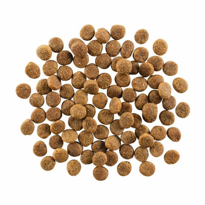 Go! Dog Skin & Coat Care Chicken With Grain 22Lb
