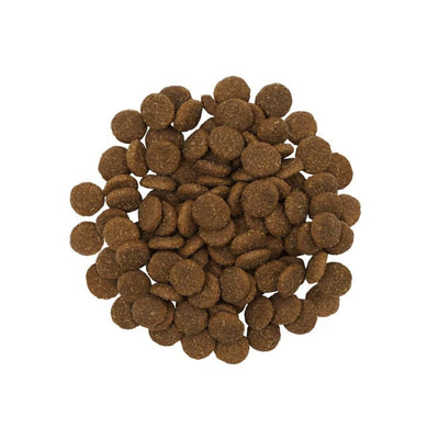 Go! Dog Skin & Coat Care Adult Large Breed Salmon With Grain 25Lb