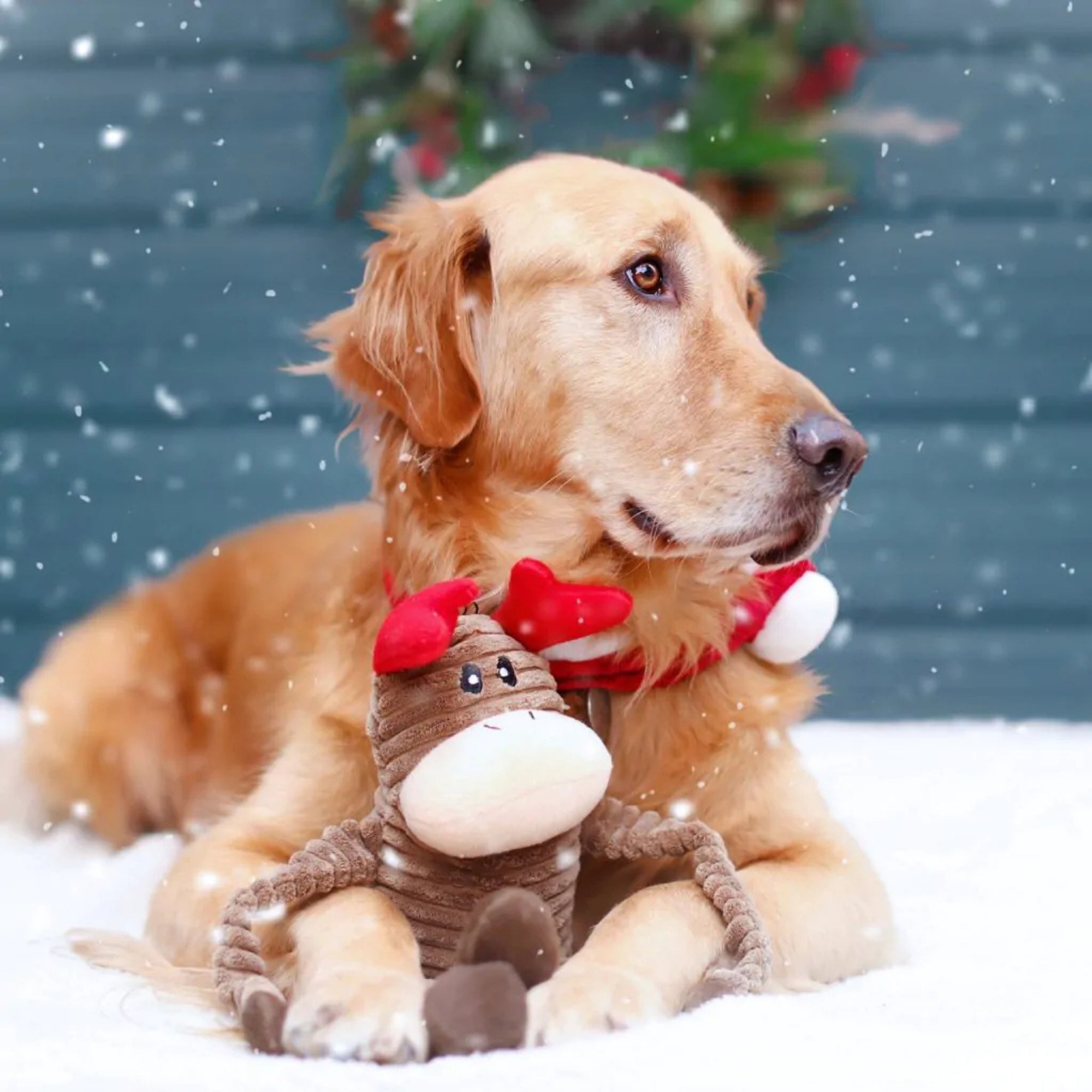 Zippypaws Holiday Crinkles Reindeer Red/Brown Jumbo