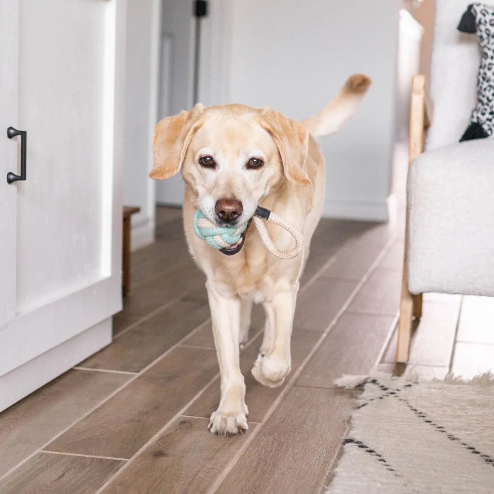 Zippypaws Ecozippy Cotton And Jute Ball Medium