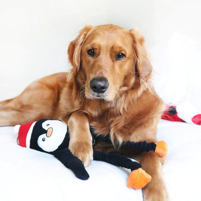 Zippypaws Holiday Crinkles Penguin Black/White Large