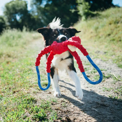 ZippyPaws RopeTugz Dog Toy Monkey, Red, 1ea/LG