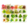 Aquatop Boxed Plastic Aquarium Plants Assorted MultiColored Assorted; 1ea-23 in; 24 pk