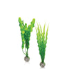 Biorb Easy Plant Set Green Medium 2Pk