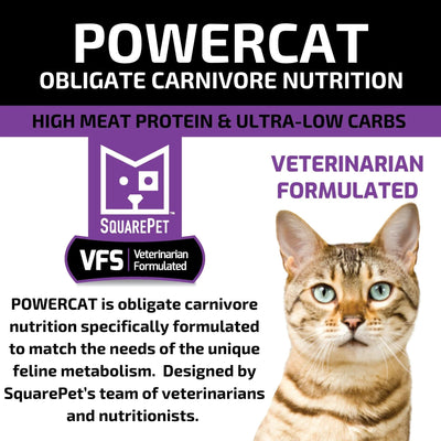 Square Pet VFS Powercat 11Lb Turkey Chicken