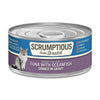 Scrumptious Cat Tuna & Ocean Fish 2.8oz.