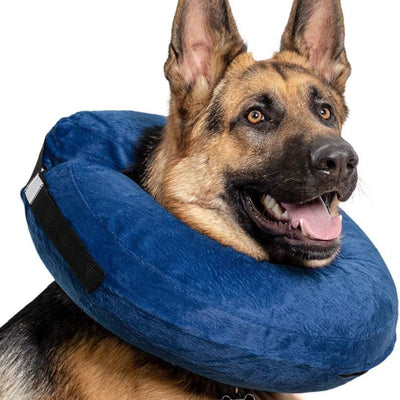 Calm Paws Basic Inflatable Collar XLarge