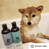 **Kin+Kind Shampoo Itchy Dog 12oz.  Teatree/Grapefruit