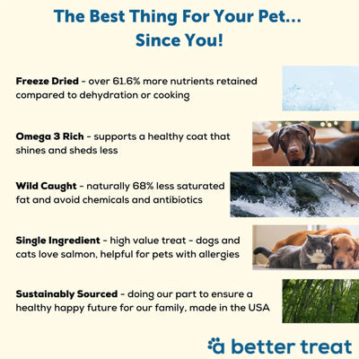 A Better Treat Just One Thing Freeze Dried Dog and Cat Treats Wild Caught Salmon 3oz. (Case of 6)  2 case minimum