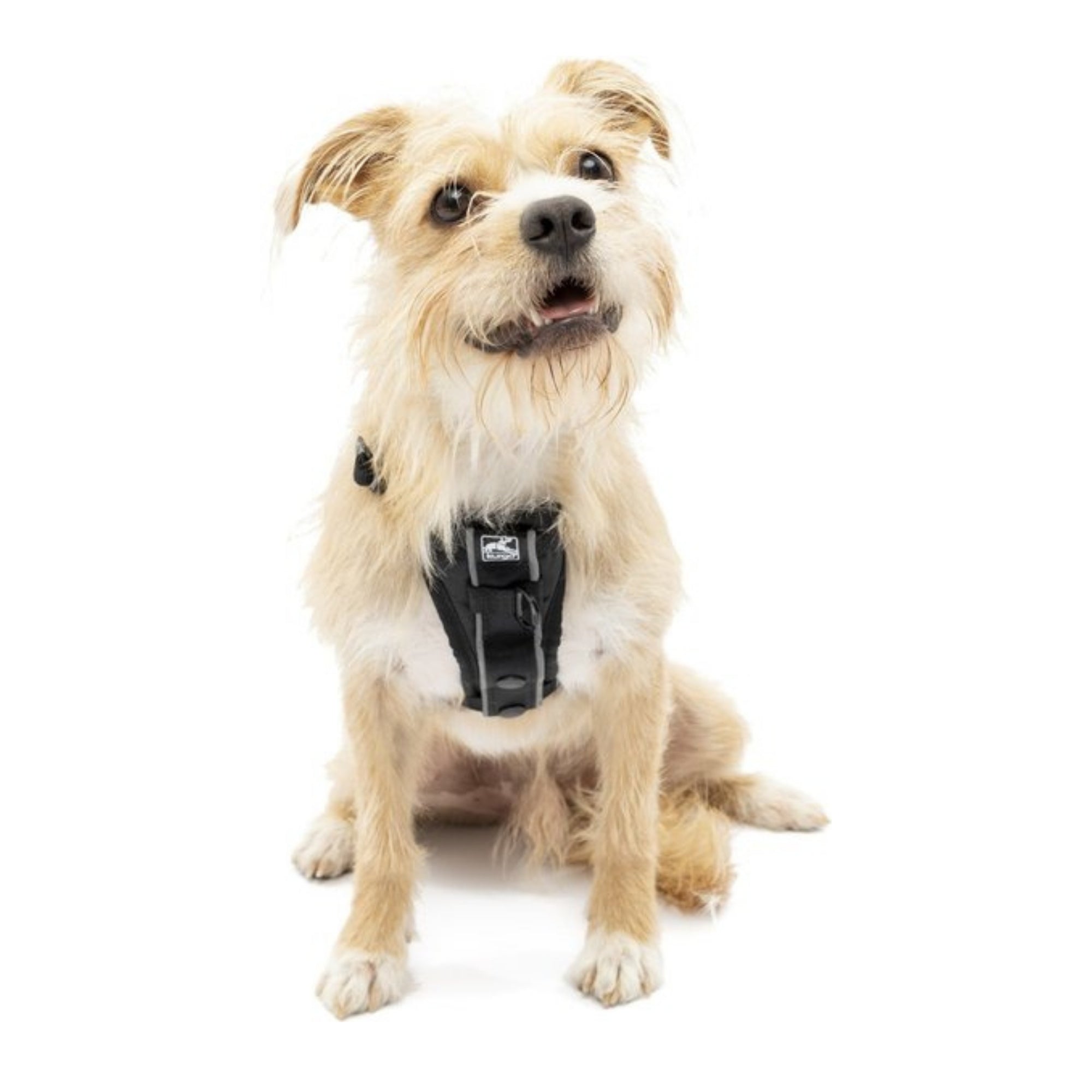 Kurgo Dog Tru Fit Harness Quick Release Black Small