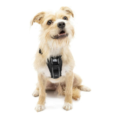Kurgo Dog Tru Fit Harness Quick Release Black Small