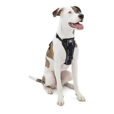 Kurgo Dog Tru Fit Harness Quick Release Black XLarge