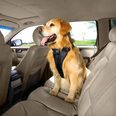 Kurgo Dog Tru Fit Smart Harness Black Large
