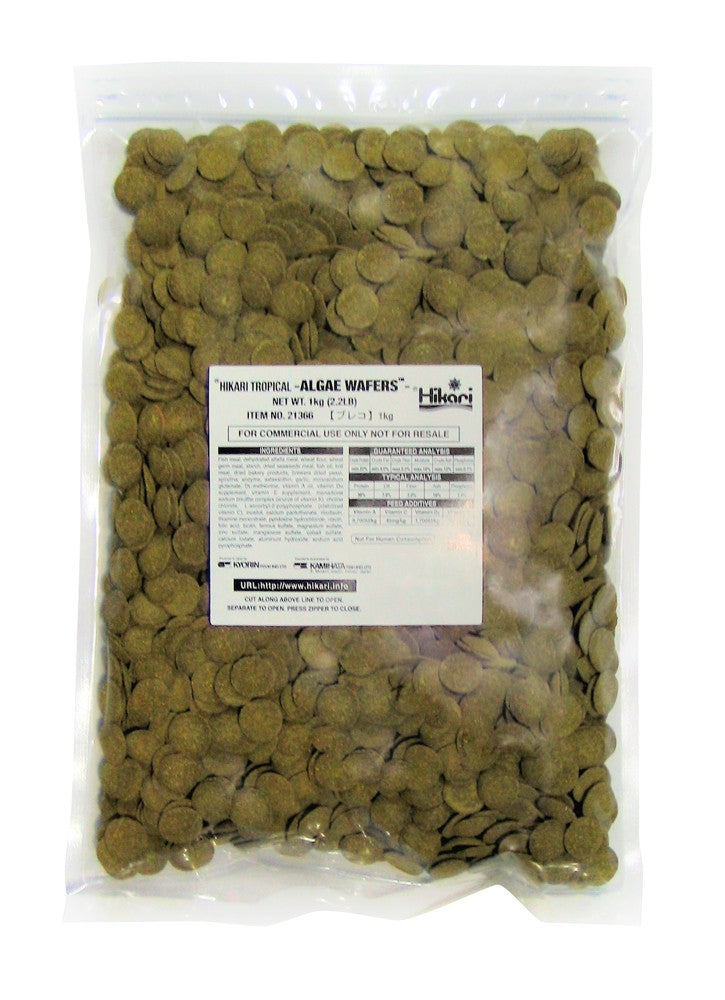 Hikari USA Algae Wafers Rapidly Sinking Wafer Fish Food 2.2 lb