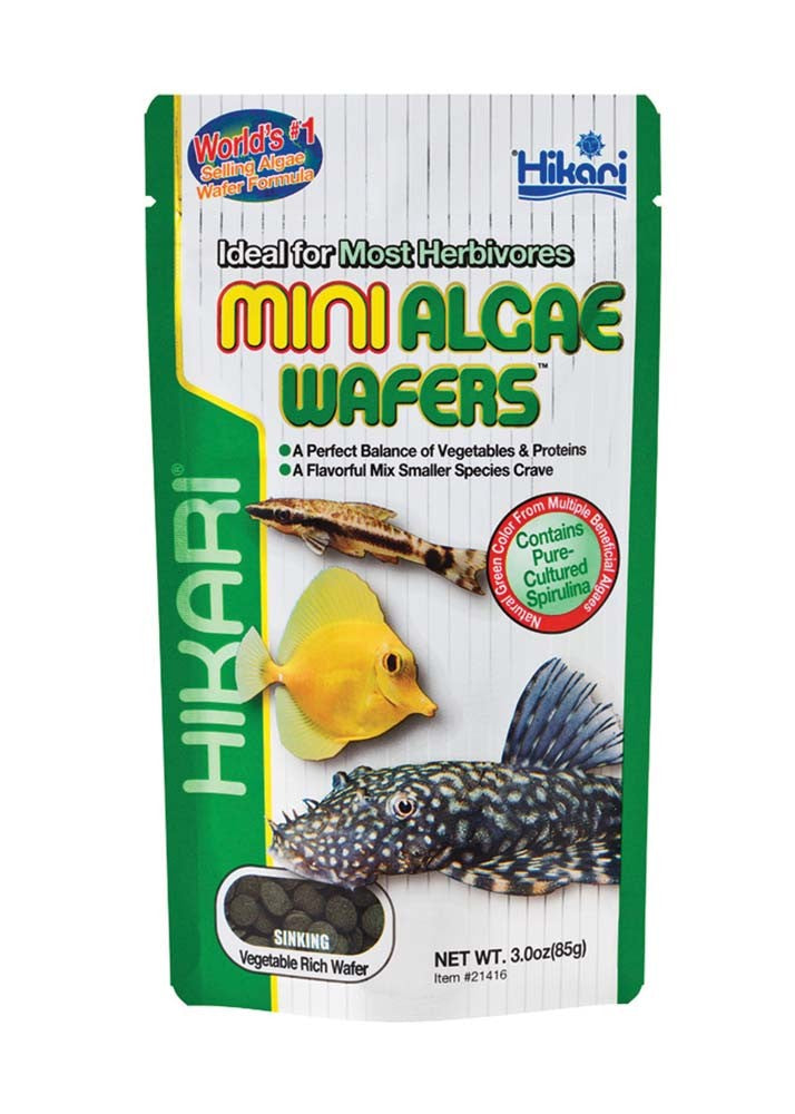 Hikari USA Algae Wafers Sinking Wafer Fish Food 2.2 lb Mini