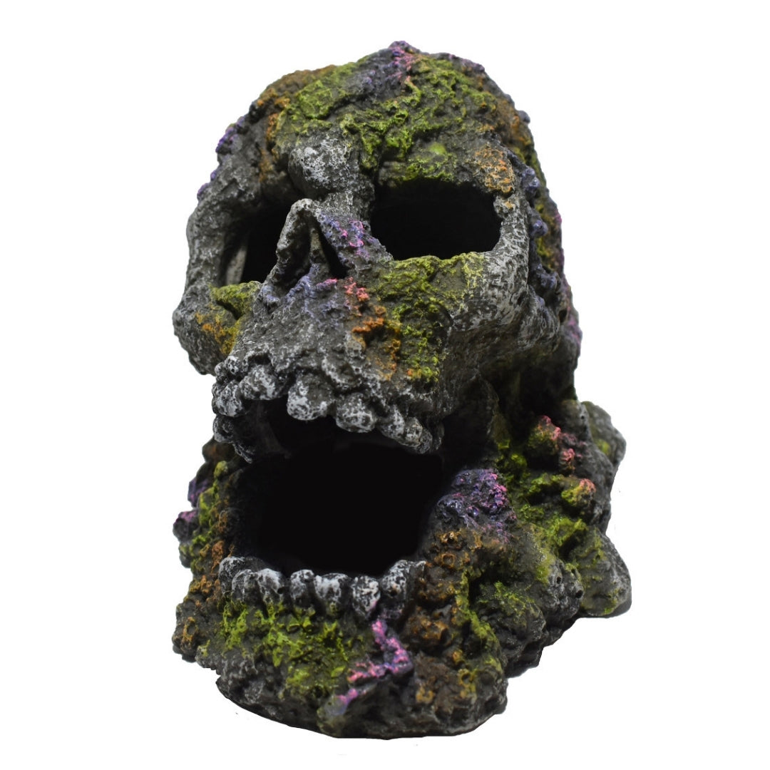 Hikari USA Hakari Mossy Skull Resin Ornament
1ea/4.1 in