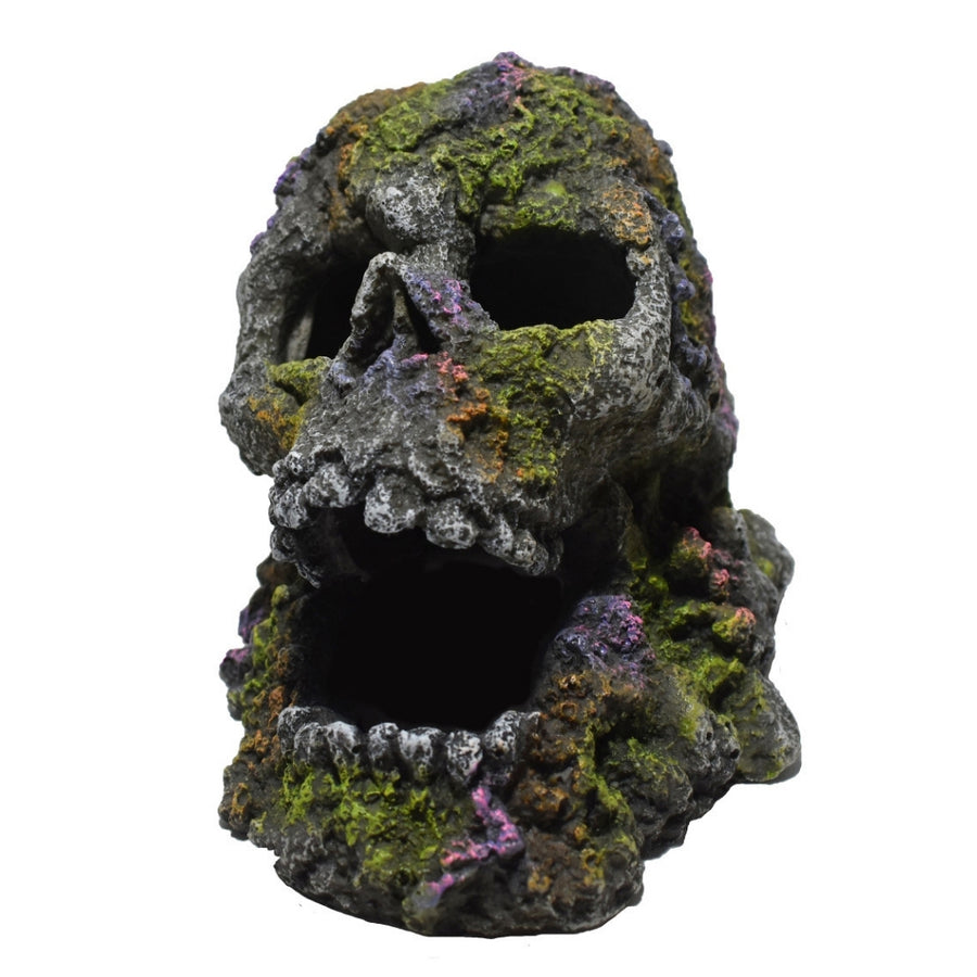Hikari USA Hakari Mossy Skull Resin Ornament
1ea/4.1 in