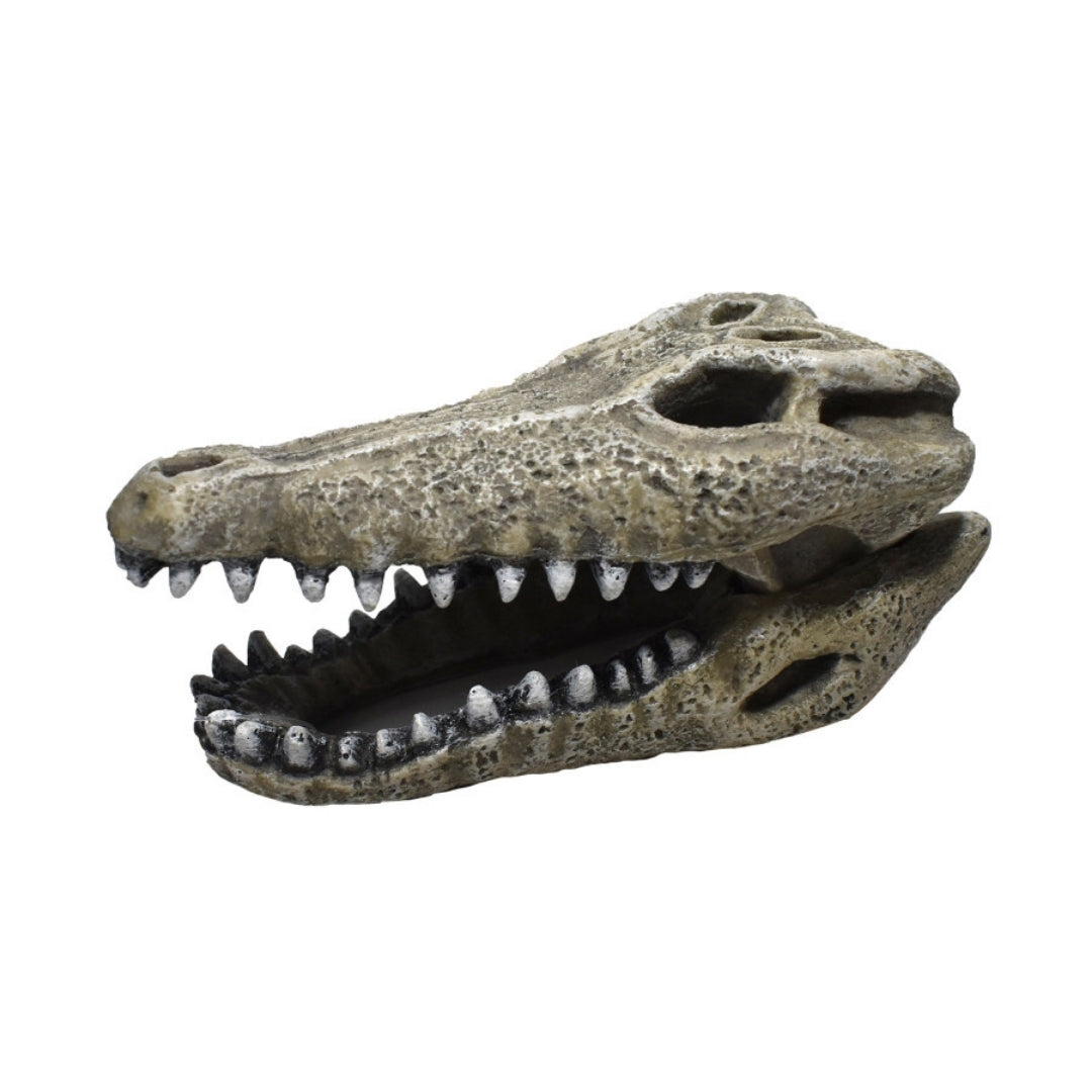 Hikari USA Gator Skull Resin Ornament
1ea/2 in