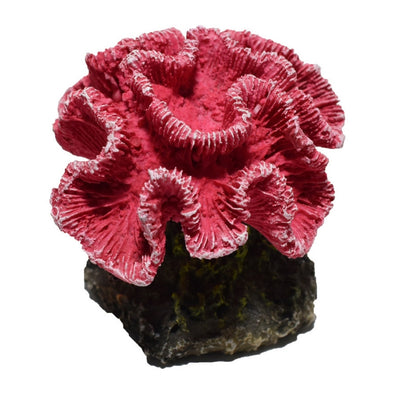 Hikari USA Marine Series Coral Resin Ornament 1ea/2.9 in