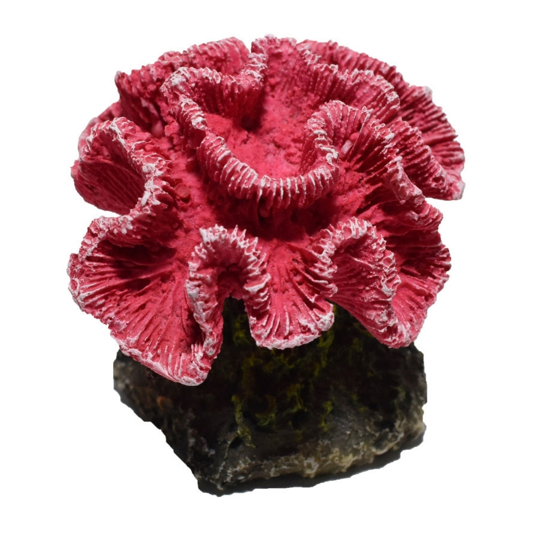 Hikari USA Marine Series Coral Resin Ornament 1ea/2.9 in