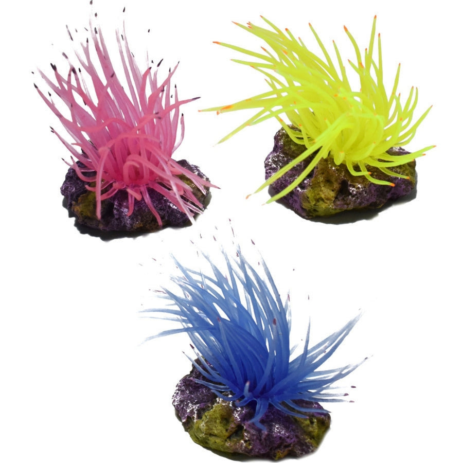 Hikari USA Marine Series Anemone on Rock Resin Ornament
3ea/3.1 in, 3 pk