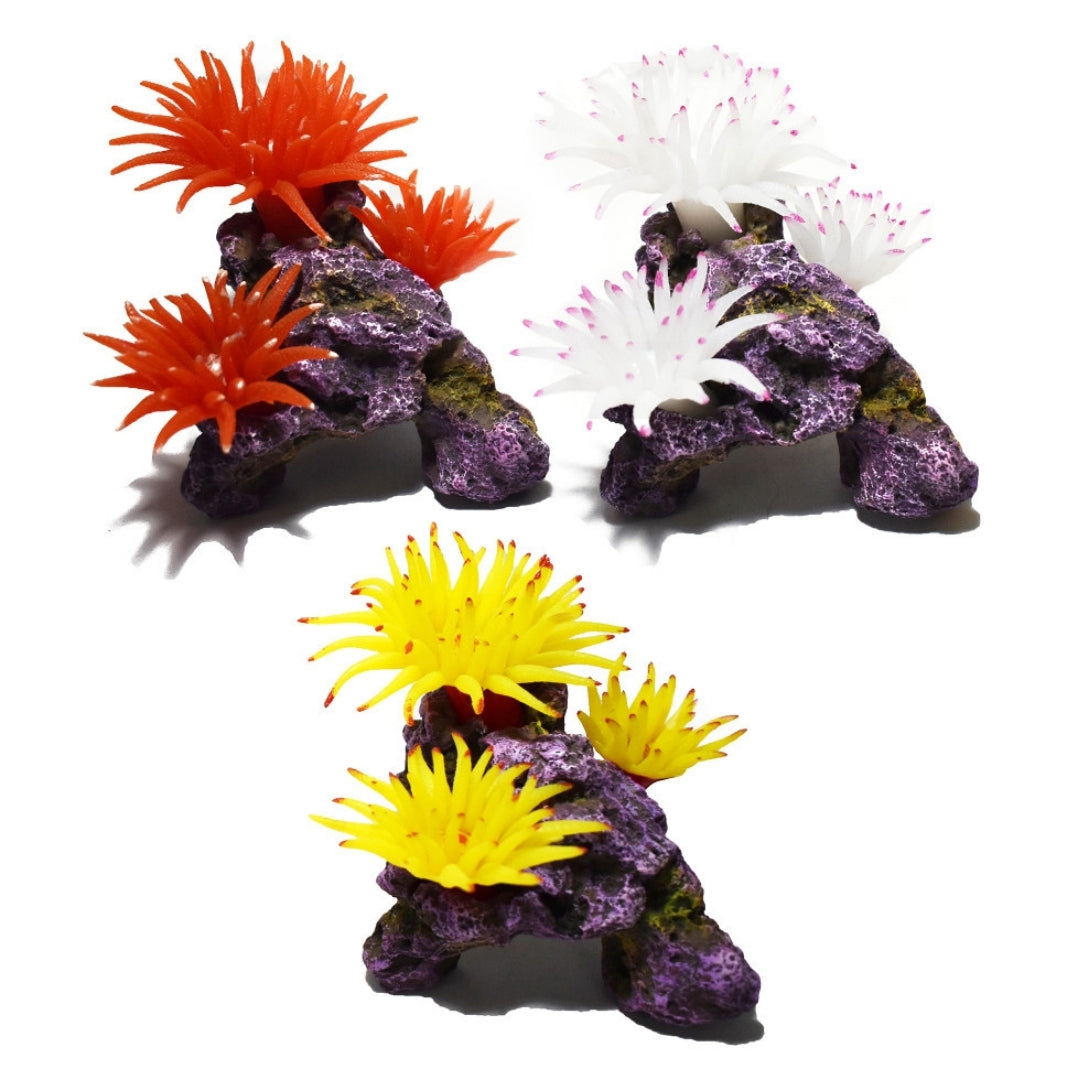 Hikari USA Marine Series Bubbletip on Rock Resin Ornament
3ea/3.5 in, 3 pk