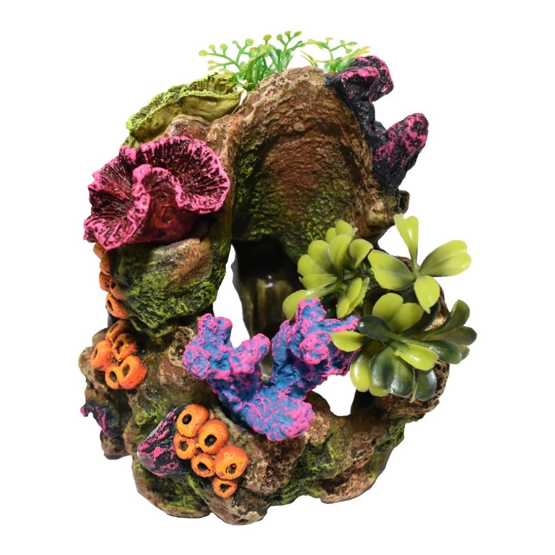 Hikari USA Marine Series Coral Garden Resin Ornament
1ea/5 in