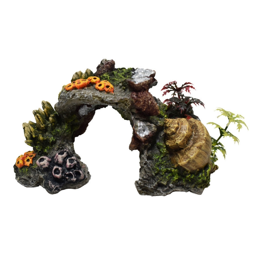 Hikari USA Marine Series Arch w/Coral Resin Ornament
1ea/3.9 in
