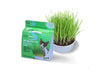 Van Ness Plastics Pureness Oat Garden Kit 4 oz