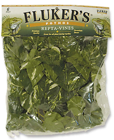 Flukers Pothos Repta-Vines Green 6 ft