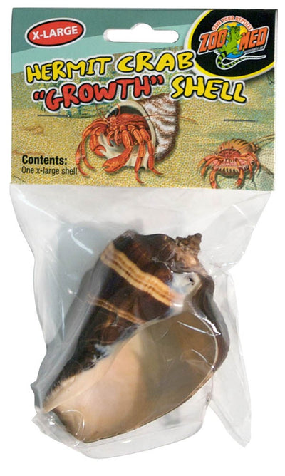 Zoo Med Hermit Crab Growth Shell Assorted Growth Extra-Large 1 Pack