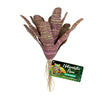 Zoo Med Naturalistic Flora Chestnut Bromeliad Terrarium Plant Purple; Tan