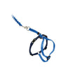 PetSafe Premier Come With Me Kitty Harness & Bungee Leash Combo Royal Blue, Navy Small