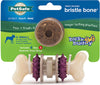 Busy Buddy Bristle Bone Chew Toy Multi-Color Extra-Small