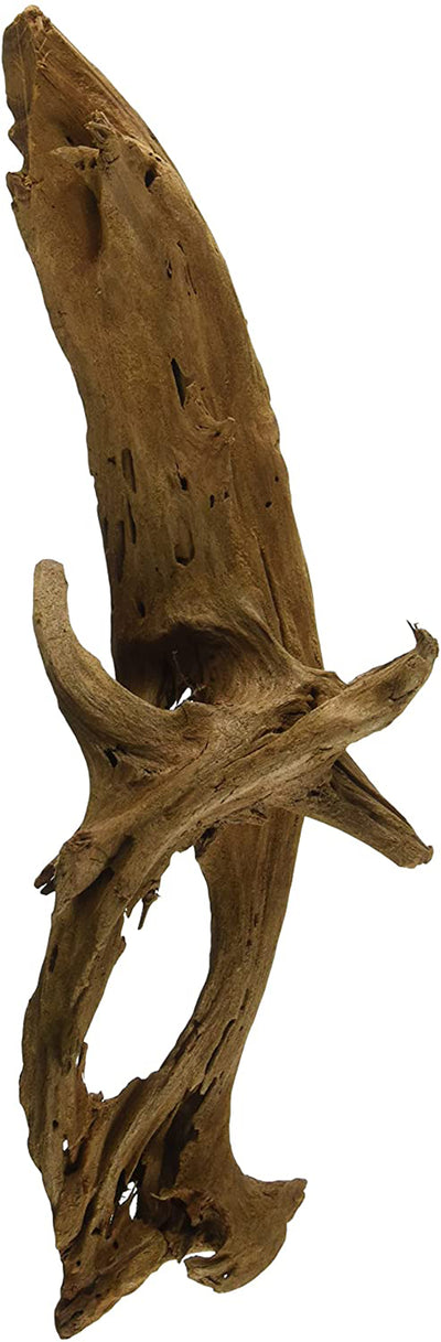 Galapagos Sinkable Driftwood Brown 11 in - 13 in Medium