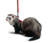 Marshall Pet Products Ferret Harness and Lead Set Red