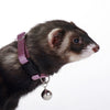 Marshall Pet Products Ferret Bell Collar Purple 3-8 in