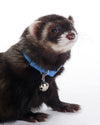 Marshall Pet Products Ferret Bell Collar Blue 3-8 in