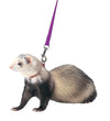 Marshall Pet Products Ferret Harness and Lead Set Purple