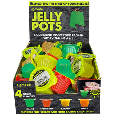 Komodo Natural Jelly Pots Display 1ea/40 ct